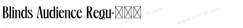 Blinds Audience Regu字体转换